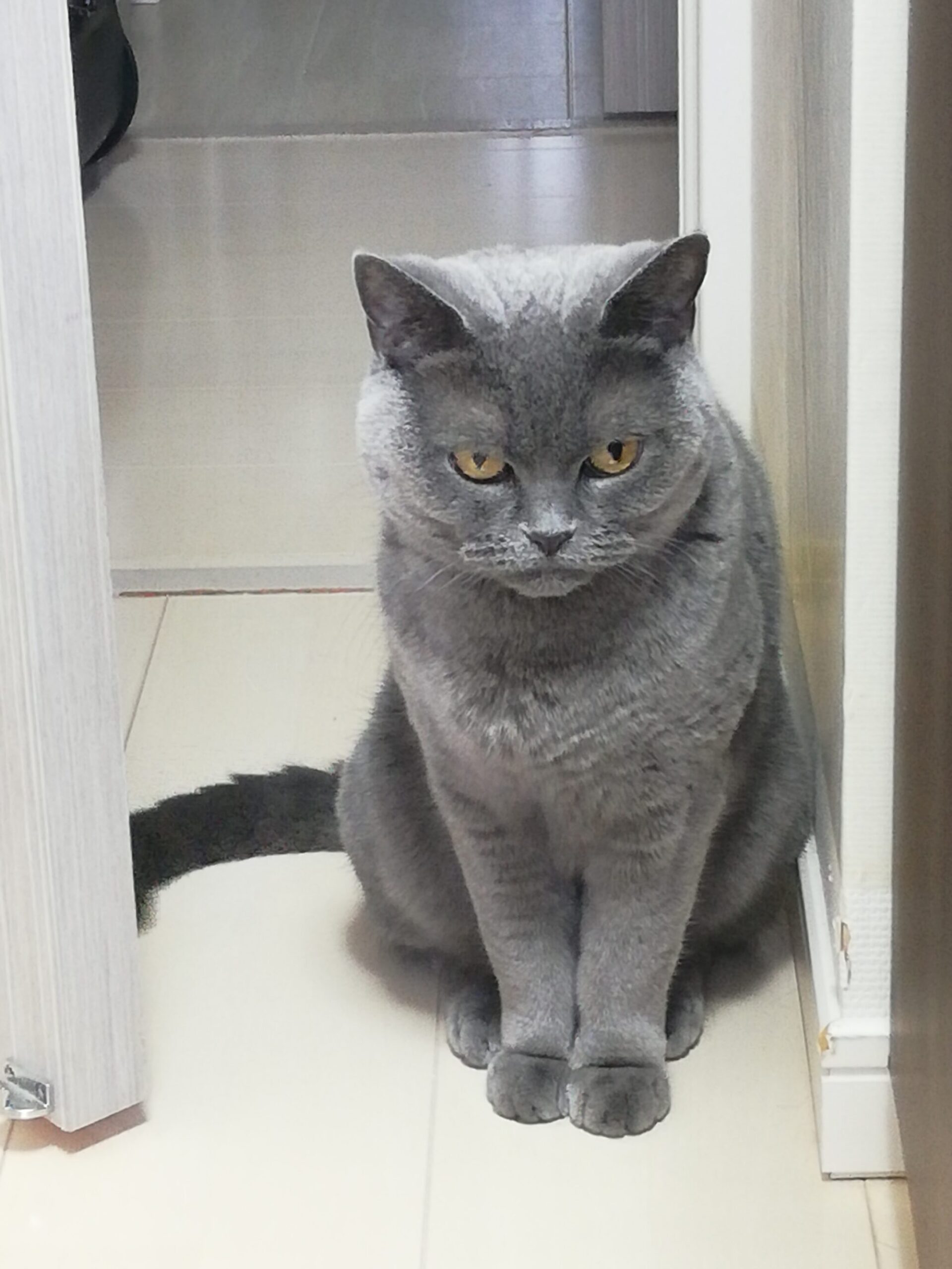 本日のmadam Dorothy