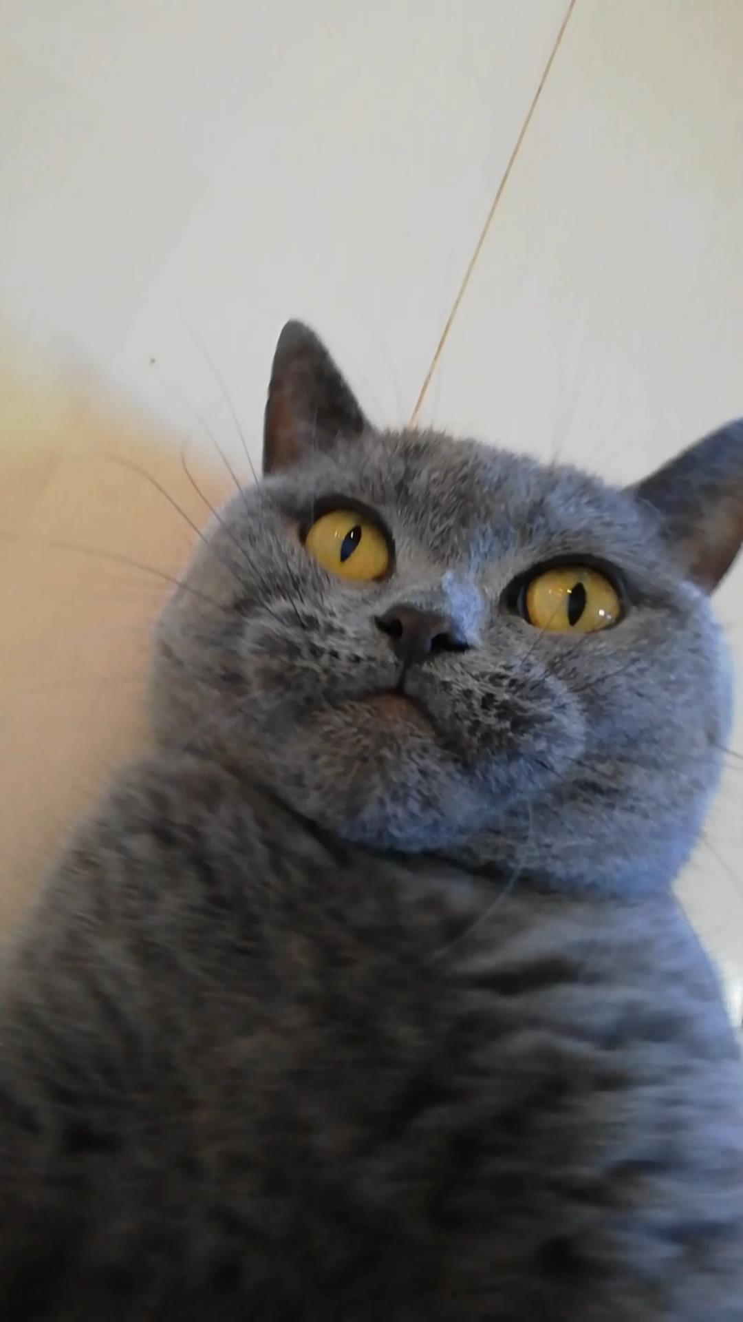 本日のmadam Dorothy “A casual photo of madam Dorothy on Dec. 12, 2023”