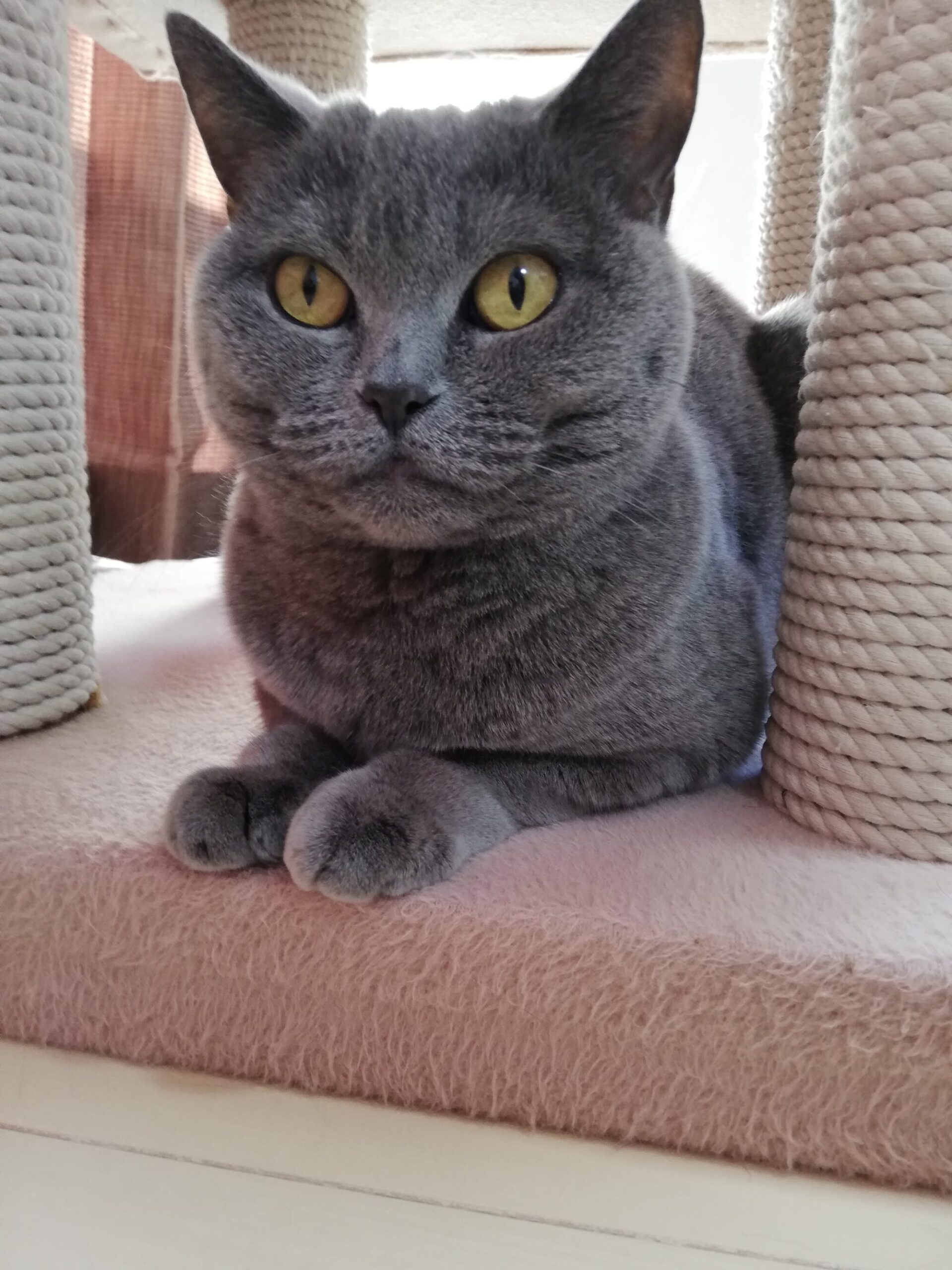 本日のMadam Dorothy “A casual photo of Madam Dorothy on Jan. 17, 2024.”