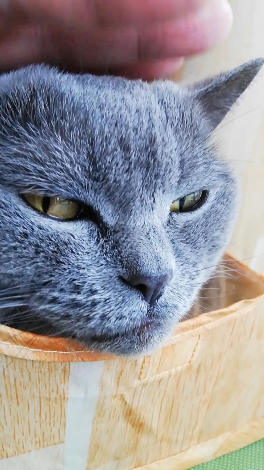 本日のMadam Dorothy “A casual photo of Madam Dorothy on Feb. 16, 2024.”