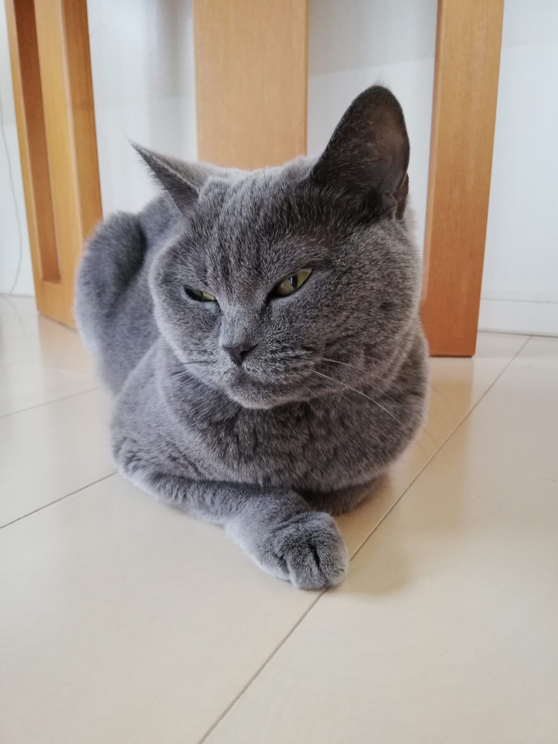 本日のMadam Dorothy “A casual photo of Madam Dorothy on Feb. 02, 2024.”