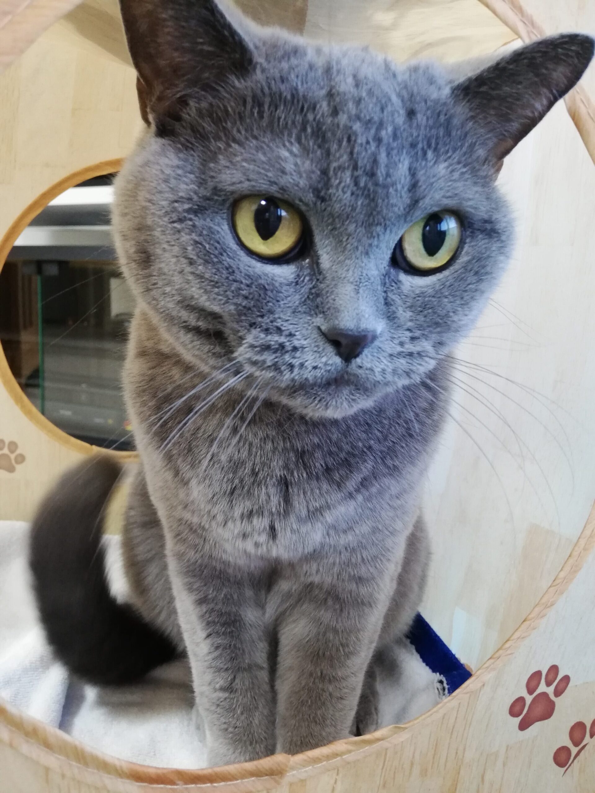 本日のMadam Dorothy “A casual photo of Madam Dorothy on Feb. 14, 2024.”