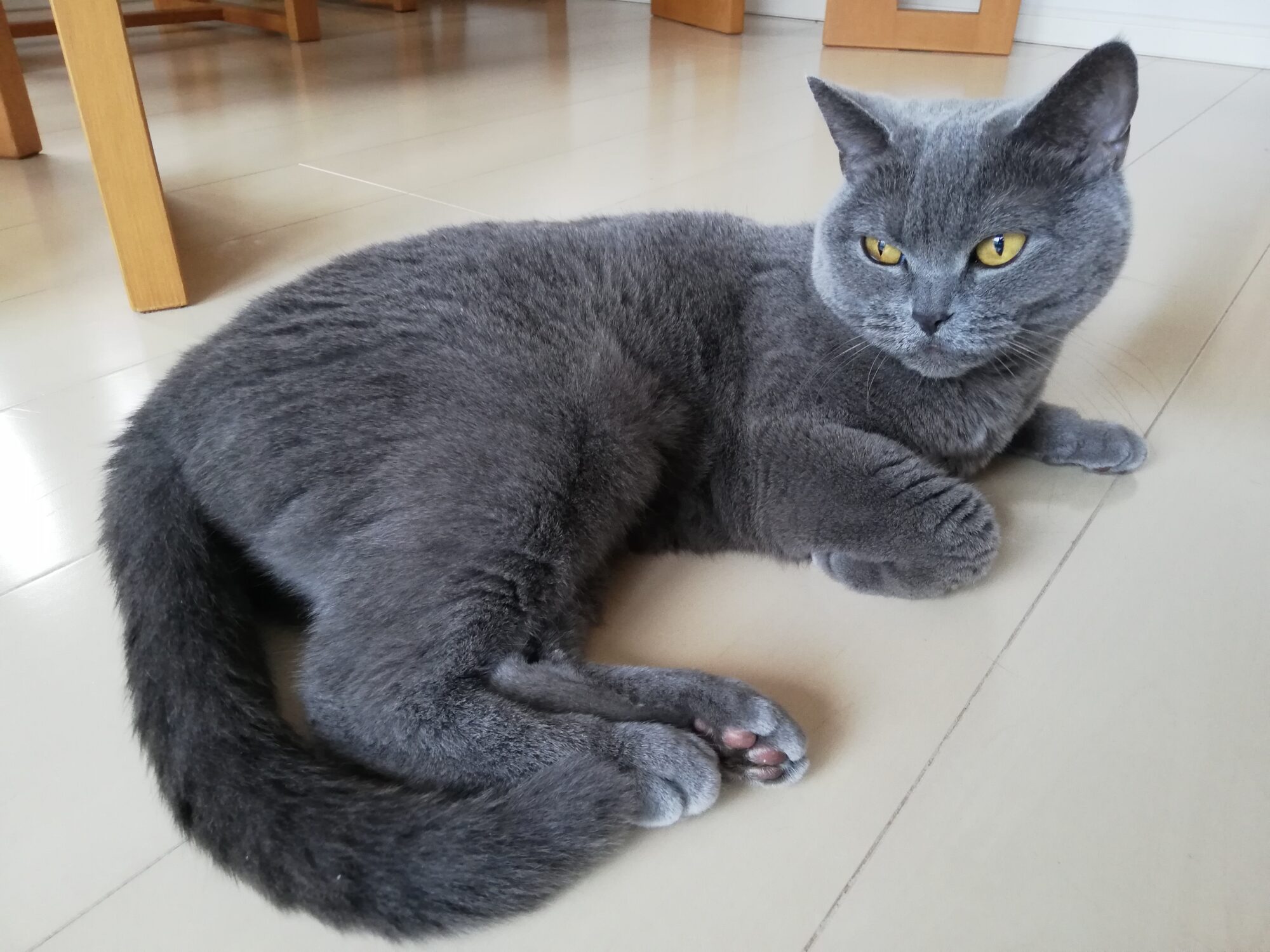 本日のMadam Dorothy “A casual photo of Madam Dorothy on Feb. 20, 2024.”