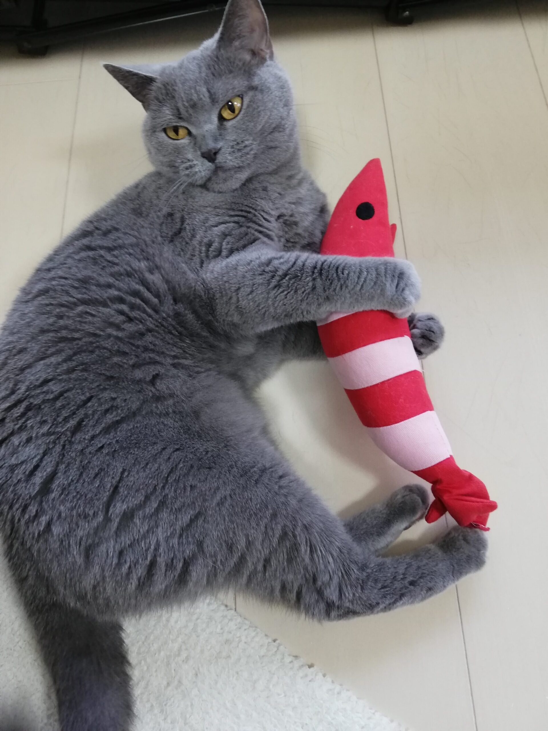 本日のMadam Dorothy “A casual photo of Madam Dorothy on Feb. 22, 2024.”