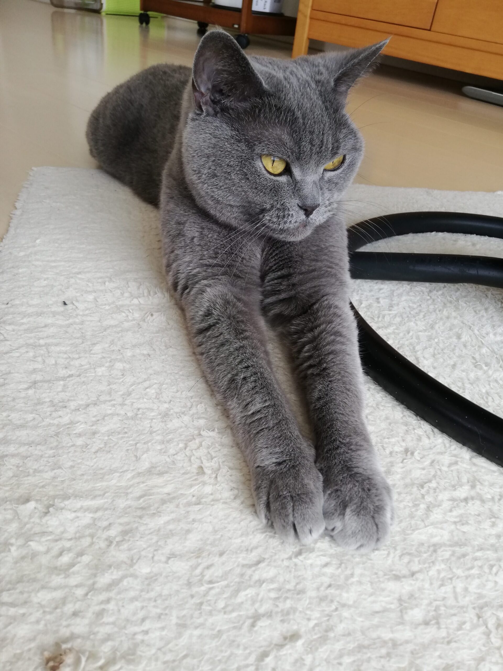 本日のMadam Dorothy “A casual photo of Madam Dorothy on Feb. 24, 2024.”