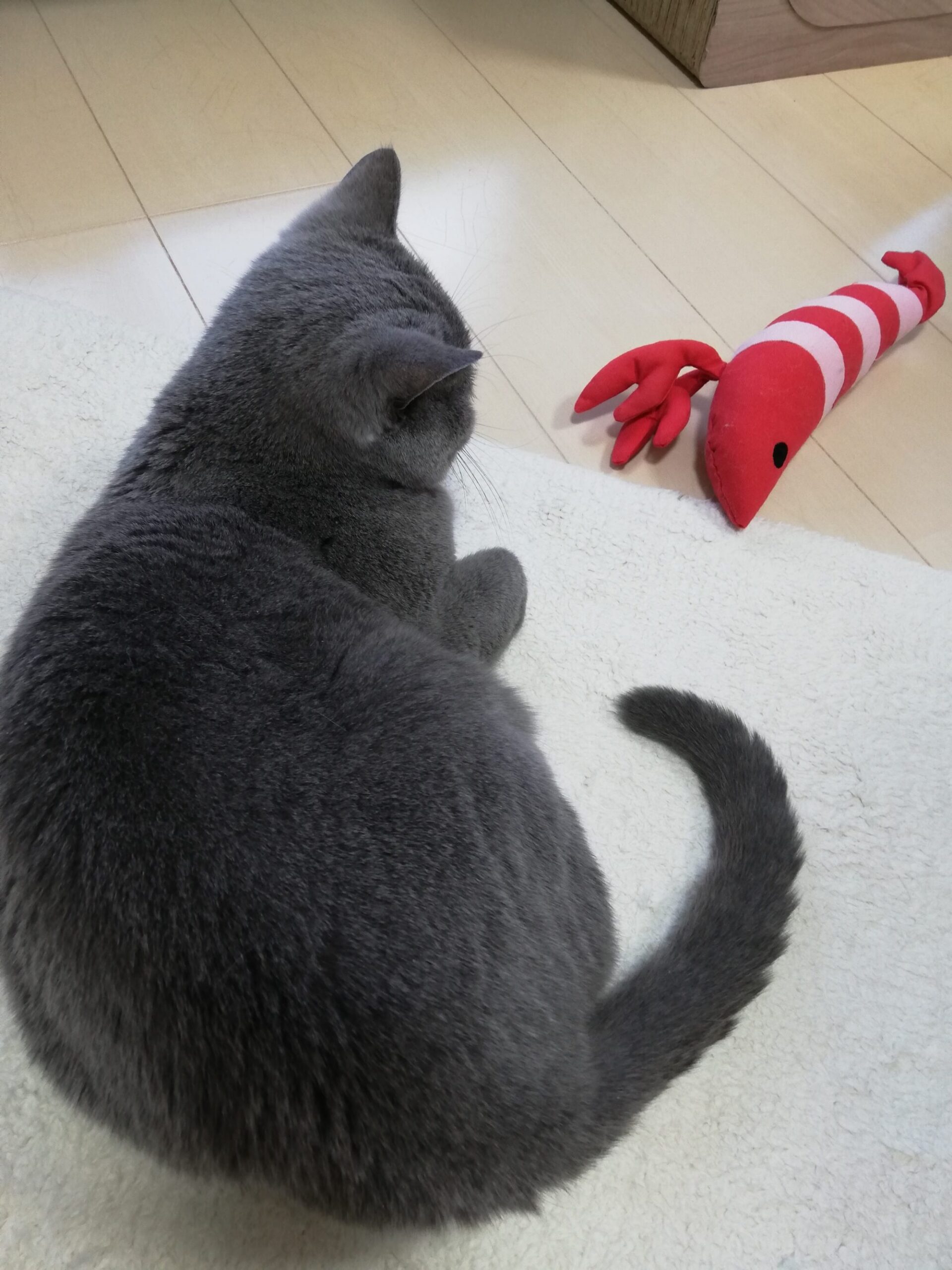 本日のMadam Dorothy “A casual photo of Madam Dorothy on Feb. 28, 2024.”