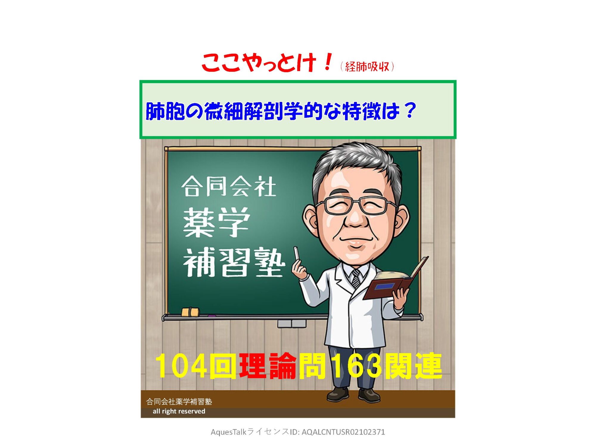 本日の「ゆっくり国試（理論）問題（104回問163）」のゆっくりショート解説（YouTubeショート：240405）
