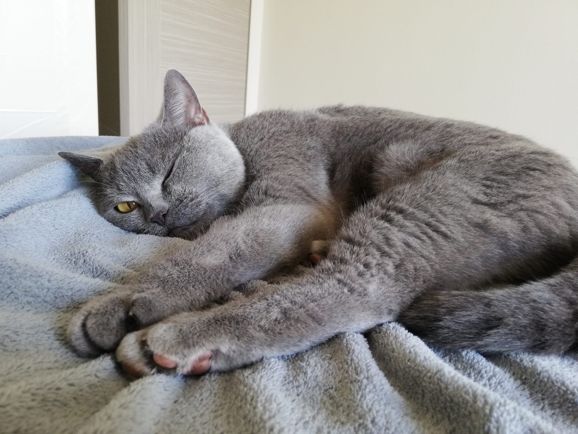 本日のMadam Dorothy “A casual photo of Madam Dorothy on July 17, 2024.Madam Dorothy winks at the CEO.”