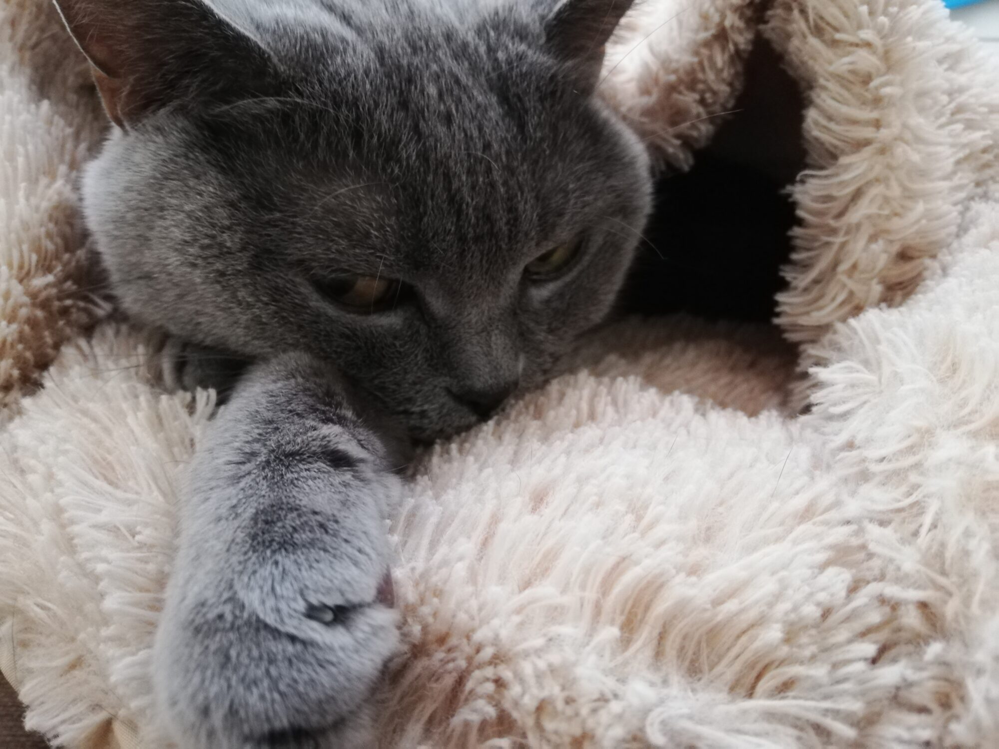 本日のMadam Dorothy “A casual photo of Madam Dorothy on Jan. 7, 2025. Let me alone”