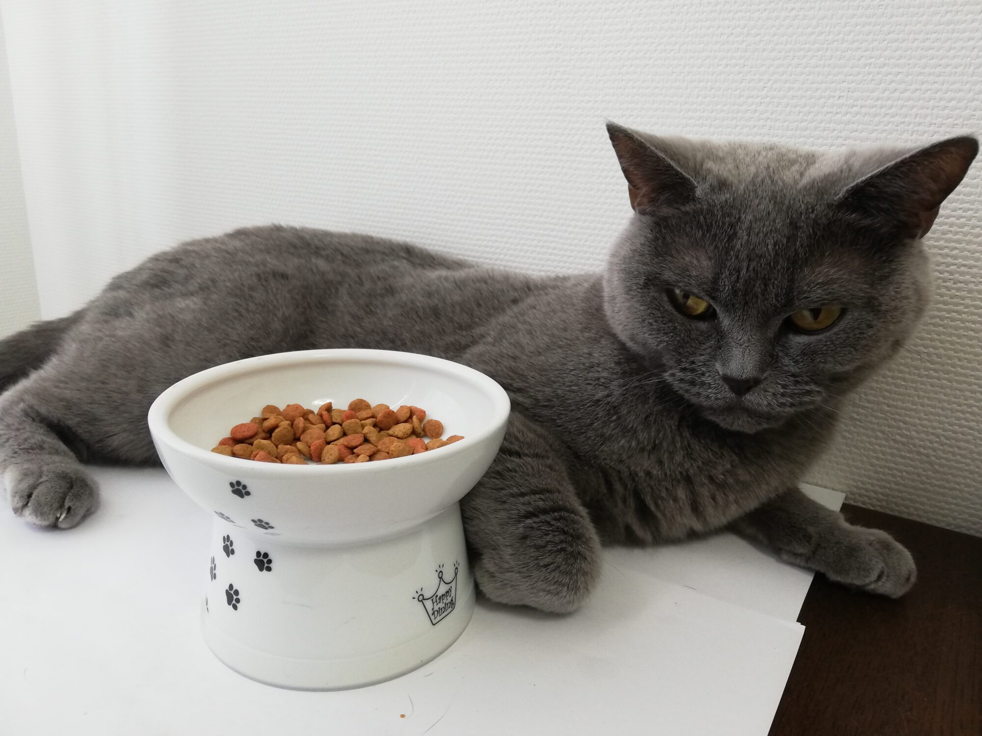 本日のMadam Dorothy “A casual photo of Madam Dorothy on Jan. 11, 2025. Treasure”