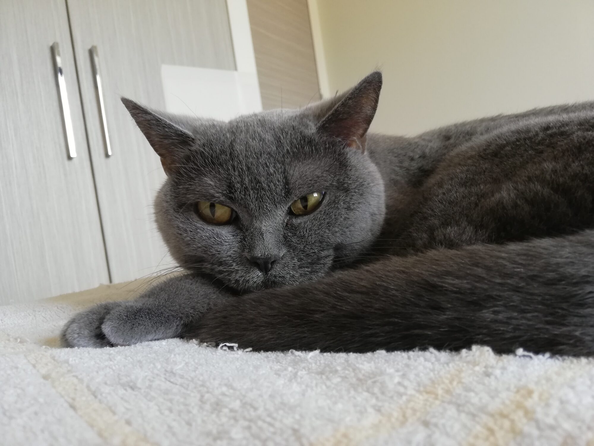 本日のMadam Dorothy “A casual photo of Madam Dorothy on Oct. 6, 2025. Are You Mad?”