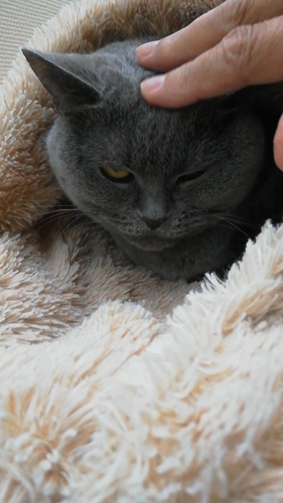 本日のMadam Dorothy “A casual photo of Madam Dorothy on Jan. 12, 2026. Sorry For Disturbing Your Meditation”