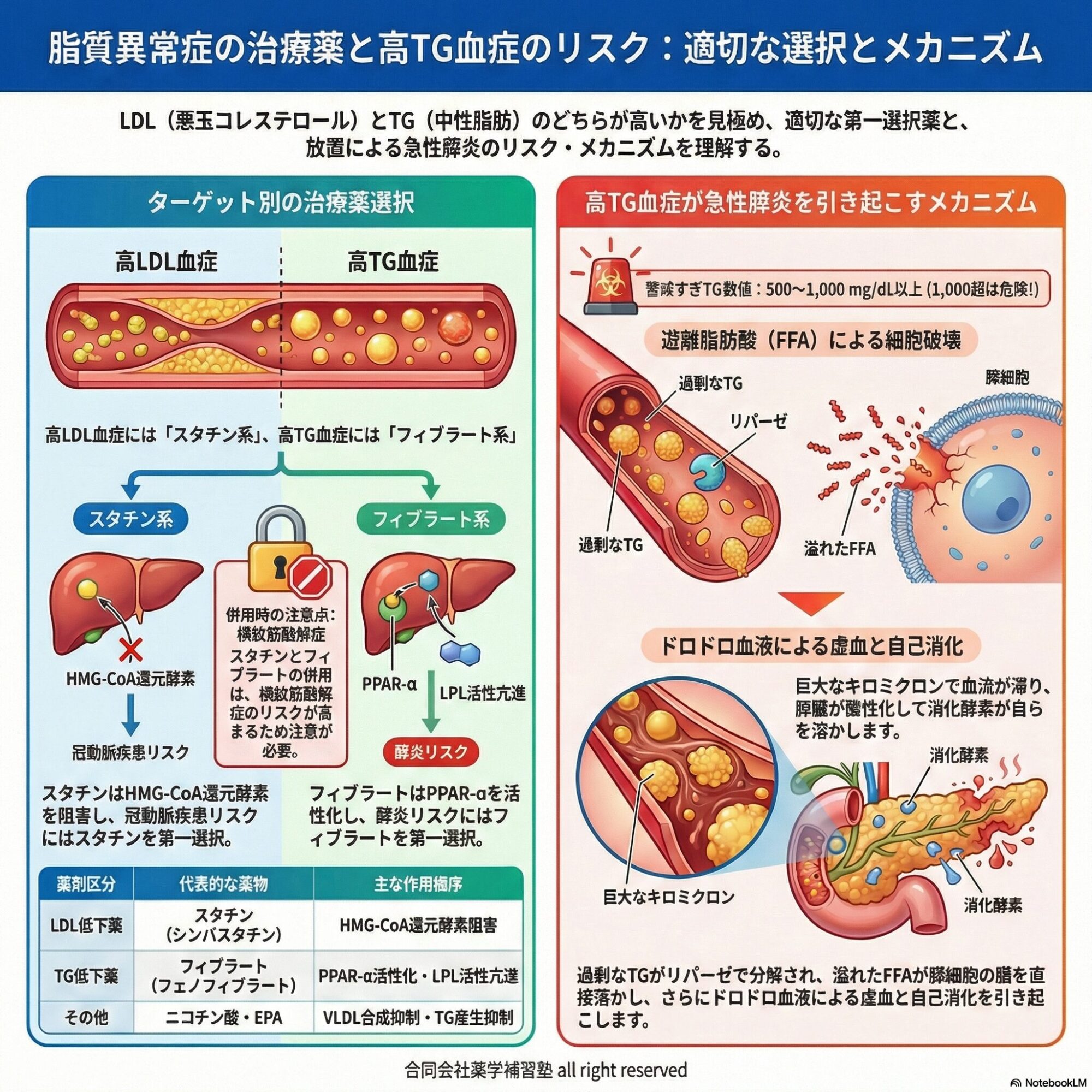 薬剤師国家試験・薬理学関連問題（旧課程；94回問145：高脂血症治療薬）のゆっくり解説/GNBslide付（YouTube：260206）
