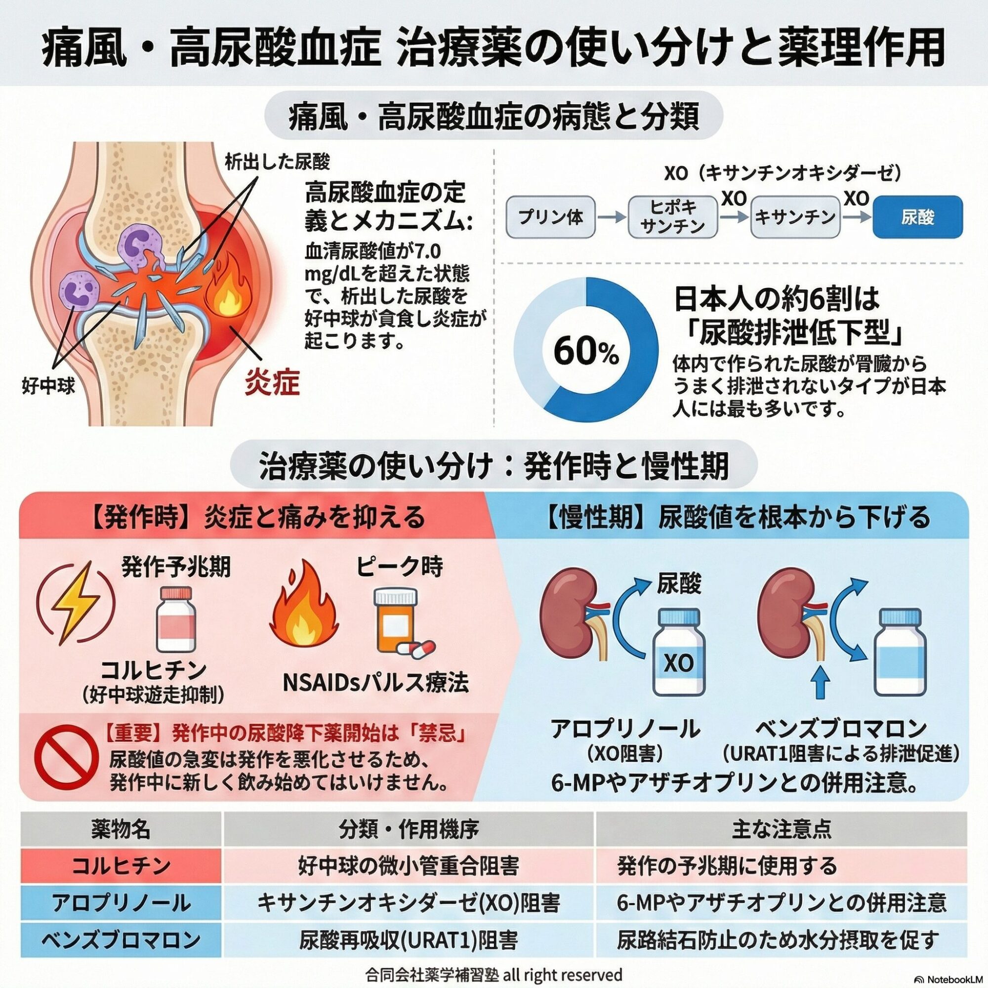 薬剤師国家試験・薬理学関連問題（旧課程；94回問146：痛風・高尿酸血症治療薬）のゆっくり解説/GNBslide付（YouTube：260208）